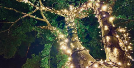 Discover the Magic of Outdoor String Lights